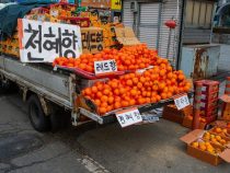 Comment ouvrir un primeur ?