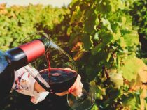 Comment servir un grand cru ?