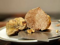 Les saveurs de la truffe blanche d’été