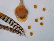 Qu’est ce qu’un miel bio et comment choisir un bon miel bio ?