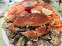 Quelle est la meilleure composition pour un plateau de fruits de mer ?