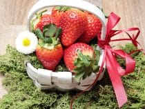 Panier gourmand : Quels avantages d’offrir un panier gourmand à un de vos proches ?