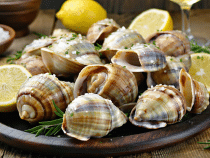 Combien de bulots faut-il prévoir par personne